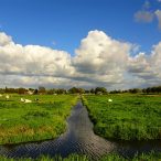 water, sloot, weilanden, wolken, waterschappen