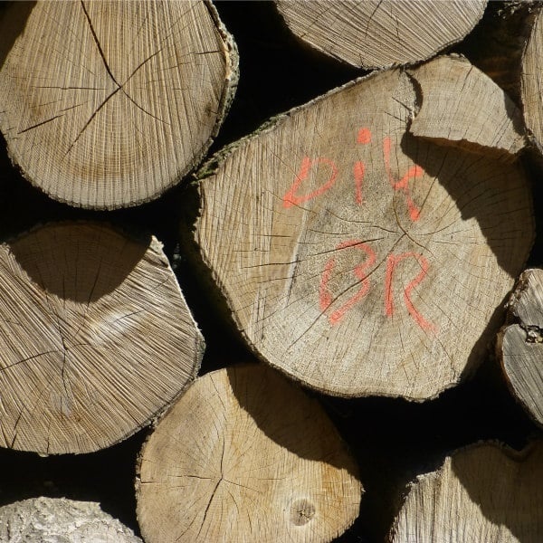 Een pleidooi voor bouwen met duurzaam hout