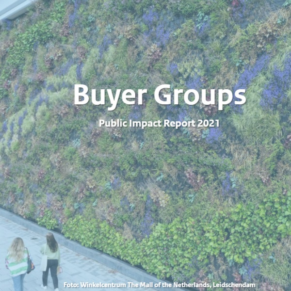 Buyer Groups - Public Impact Report 2021