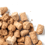 Dag van Biobased Bouwen: Biobased Bouwen Versnelt